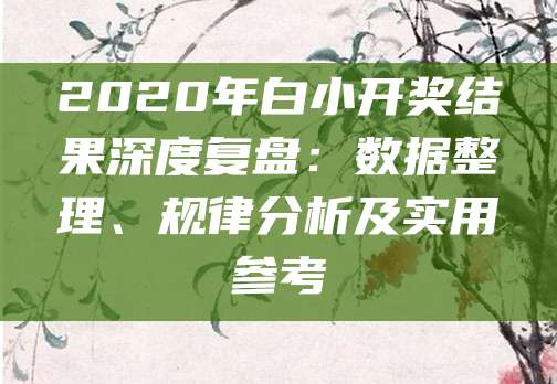 2020年白小开奖结果深度复盘：数据整理、规律分析及实用参考