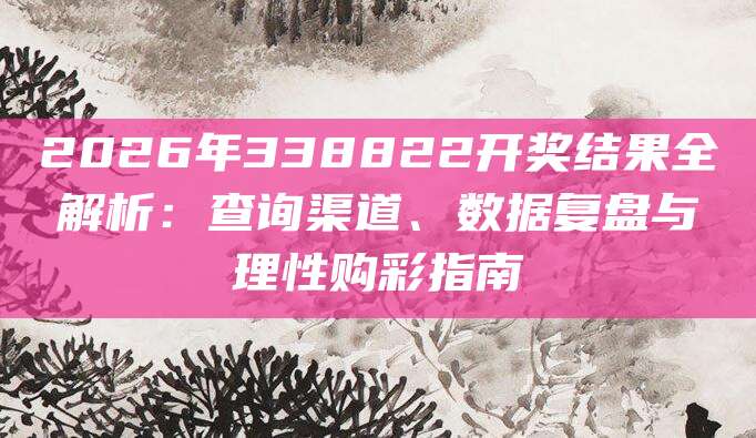 2026年338822开奖结果全解析：查询渠道、数据复盘与理性购彩指南