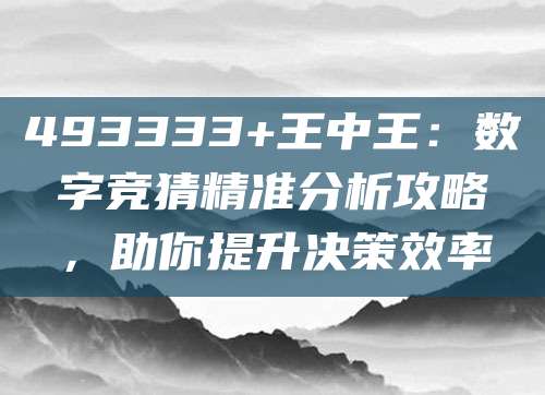 493333+王中王：数字竞猜精准分析攻略，助你提升决策效率