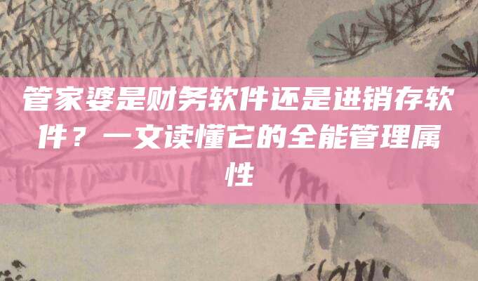 管家婆是财务软件还是进销存软件？一文读懂它的全能管理属性